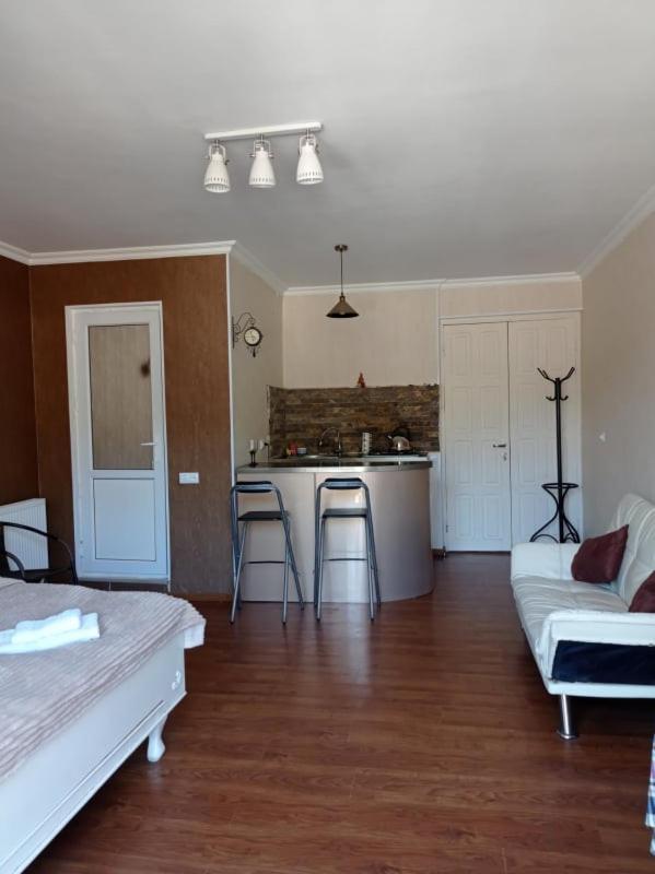 Tamara Apartment Боржоми Екстериор снимка