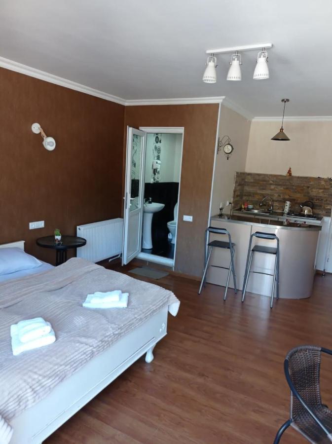 Tamara Apartment Боржоми Екстериор снимка